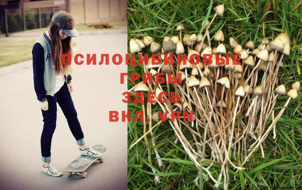 скорость Бородино