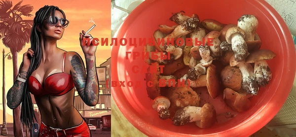 соль ск Бугульма