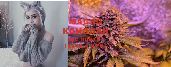 спиды Верея