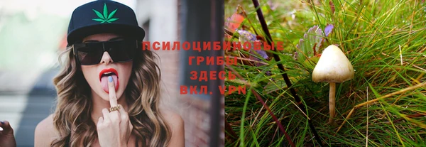 соль ск Бугульма